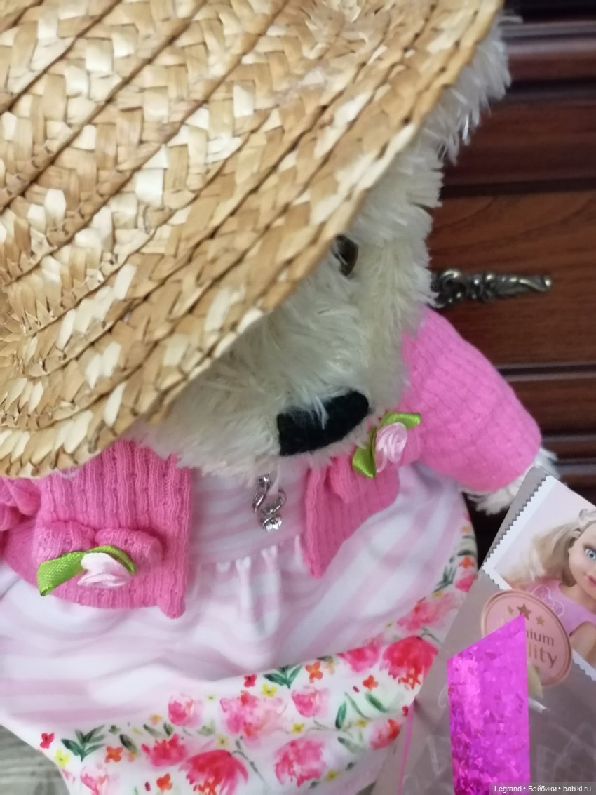 Из жизни моих мишек: Подарок для Пембе