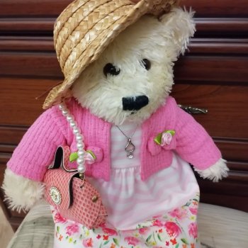 Из жизни моих мишек: Подарок для Пембе