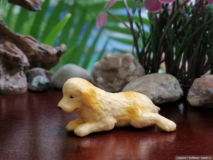 Лурения: Абрикос и Манго на прогулке🌴 (фото 10)