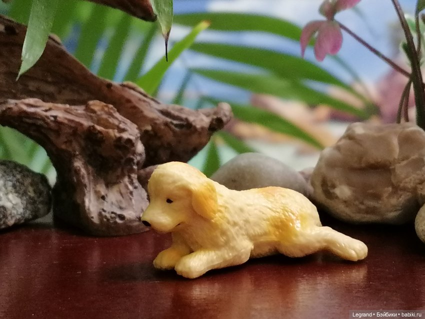 Лурения: Абрикос и Манго на прогулке🌴