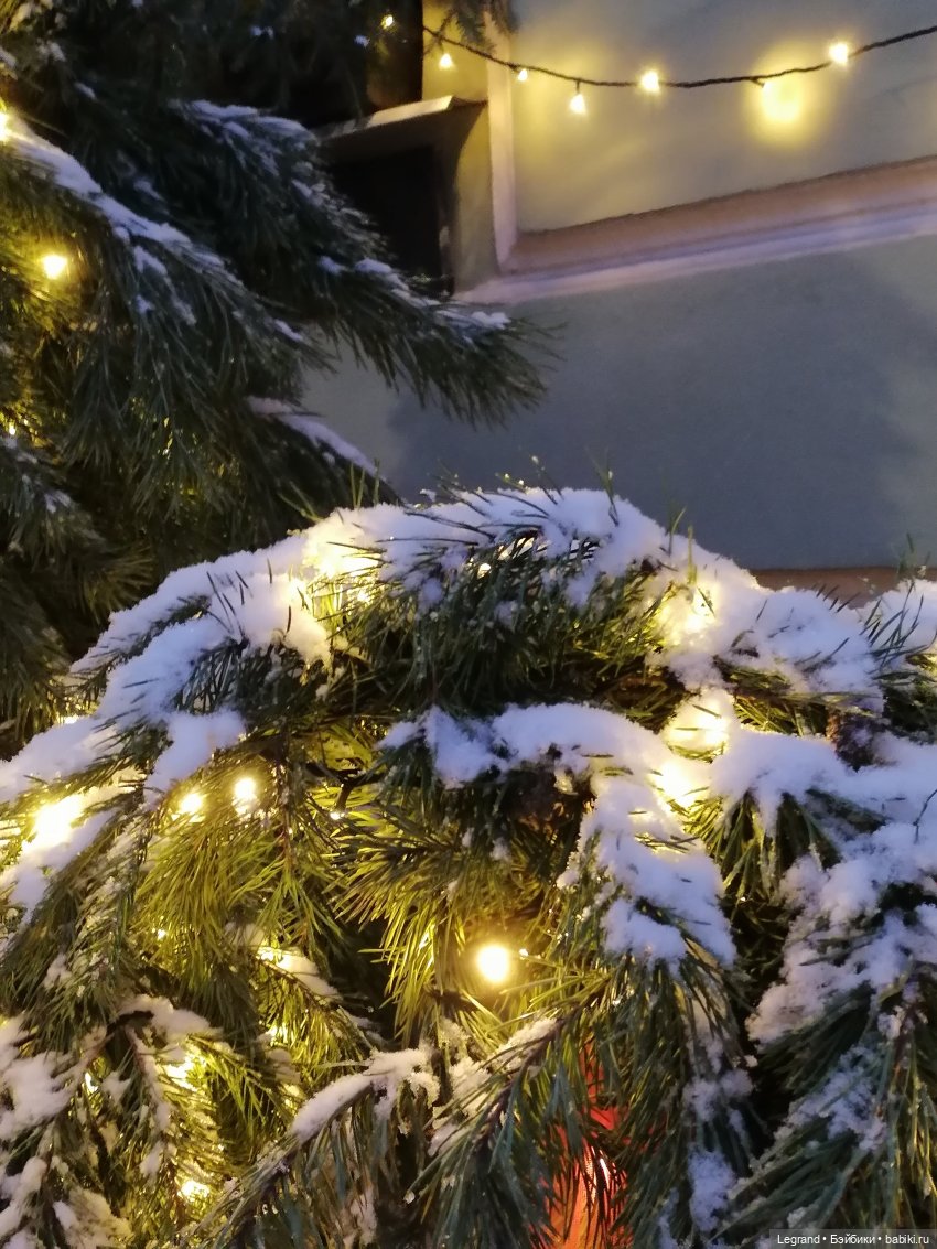 Заснеженный Санкт-Петербург: прогулка с винтажной белкой