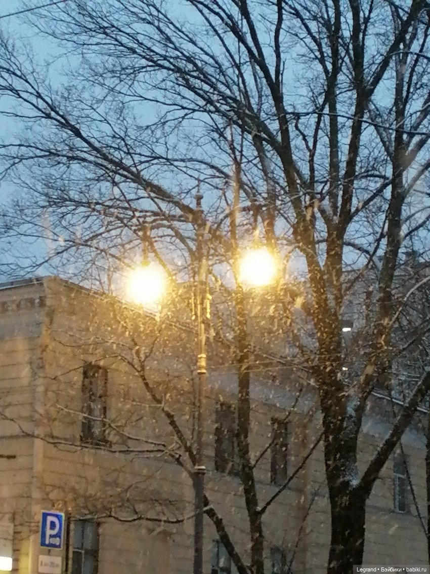 Заснеженный Санкт-Петербург: прогулка с винтажной белкой