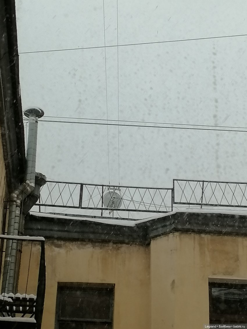 Заснеженный Санкт-Петербург: прогулка с винтажной белкой