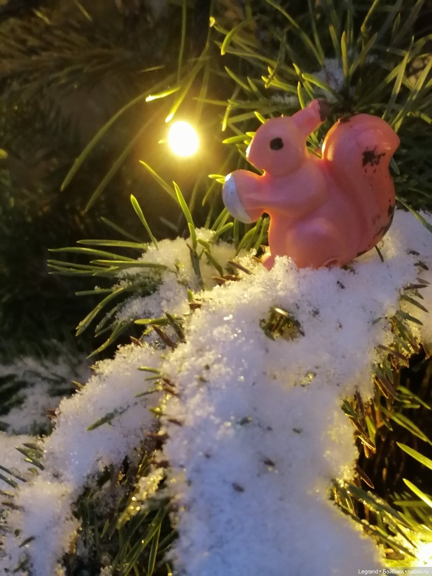 Заснеженный Санкт-Петербург: прогулка с винтажной белкой