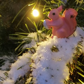 Заснеженный Санкт-Петербург: прогулка с винтажной белкой