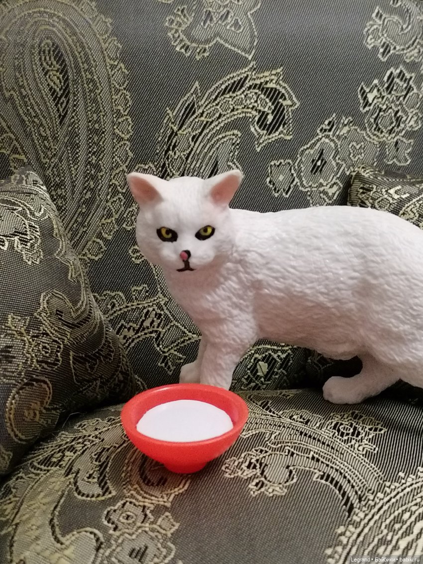 Они сами пишут свои истории: О кошке, Брю и Жераре (фото 4)