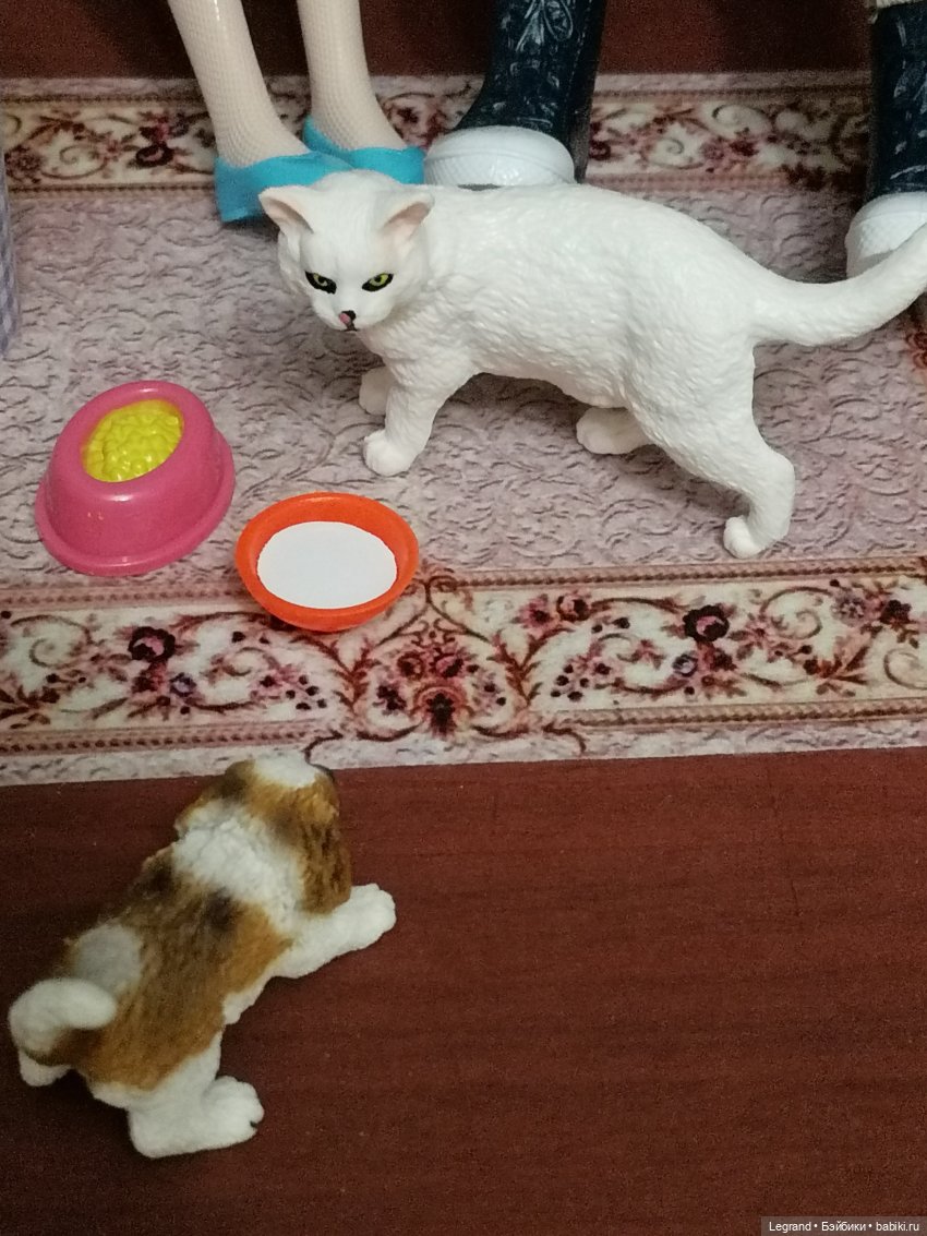 Они сами пишут свои истории: О кошке, Брю и Жераре (фото 6)