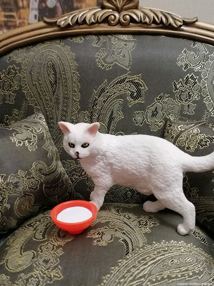 Они сами пишут свои истории: О кошке, Брю и Жераре