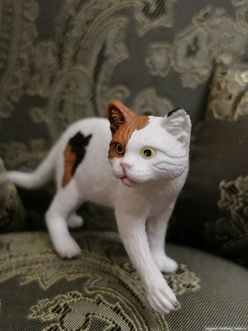 Лурения: Amore и другие кошачьи🤗 | Бэйбики Лурения: Amore и другие кошачьи🤗 (фото 8)