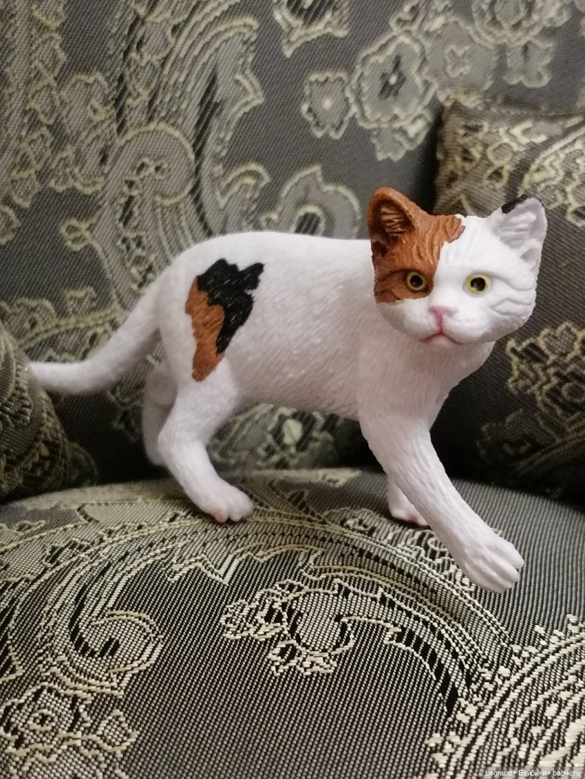 Лурения: Amore и другие кошачьи🤗 | Бэйбики Лурения: Amore и другие кошачьи🤗 (фото 9)