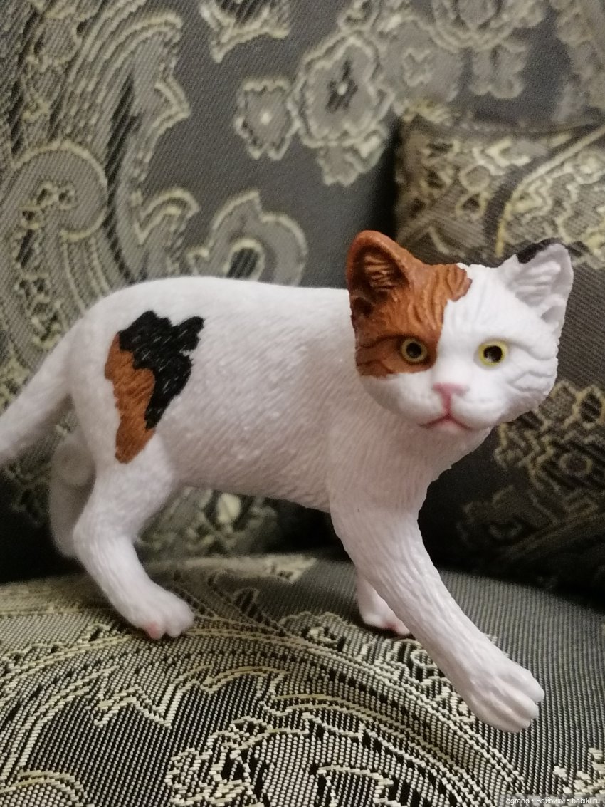 Лурения: Amore и другие кошачьи🤗 | Бэйбики Лурения: Amore и другие кошачьи🤗 (фото 4)