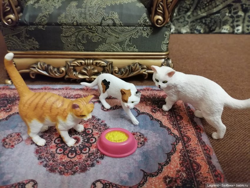 Лурения: Amore и другие кошачьи🤗 | Бэйбики Лурения: Amore и другие кошачьи🤗