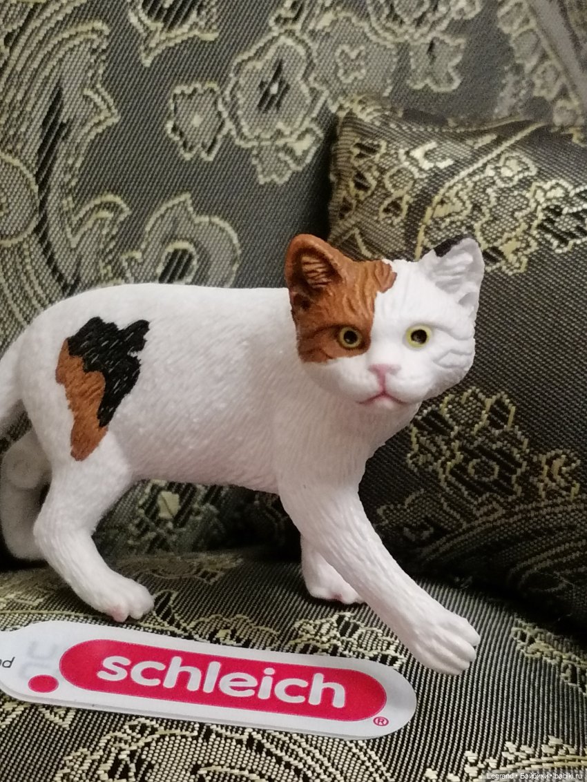 Лурения: Amore и другие кошачьи🤗 | Бэйбики Лурения: Amore и другие кошачьи🤗