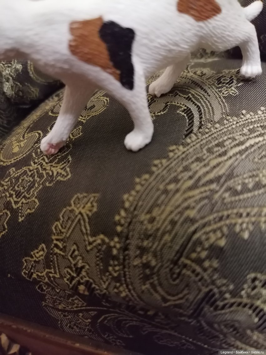 Лурения: Amore и другие кошачьи🤗 | Бэйбики Лурения: Amore и другие кошачьи🤗 (фото 7)