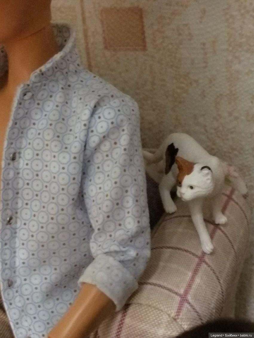 Лурения: Amore и другие кошачьи🤗 | Бэйбики Лурения: Amore и другие кошачьи🤗