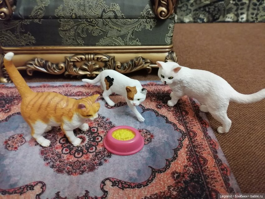 Лурения: Amore и другие кошачьи🤗 | Бэйбики Лурения: Amore и другие кошачьи🤗