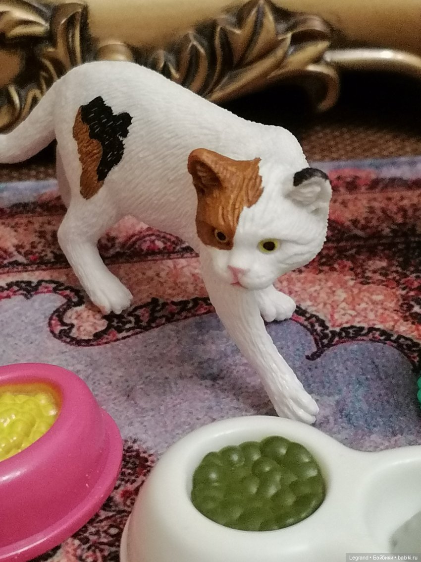 Лурения: Amore и другие кошачьи🤗 | Бэйбики Лурения: Amore и другие кошачьи🤗