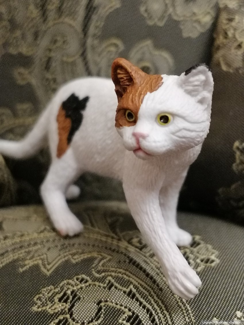 Лурения: Amore и другие кошачьи🤗 | Бэйбики Лурения: Amore и другие кошачьи🤗 (фото 3)