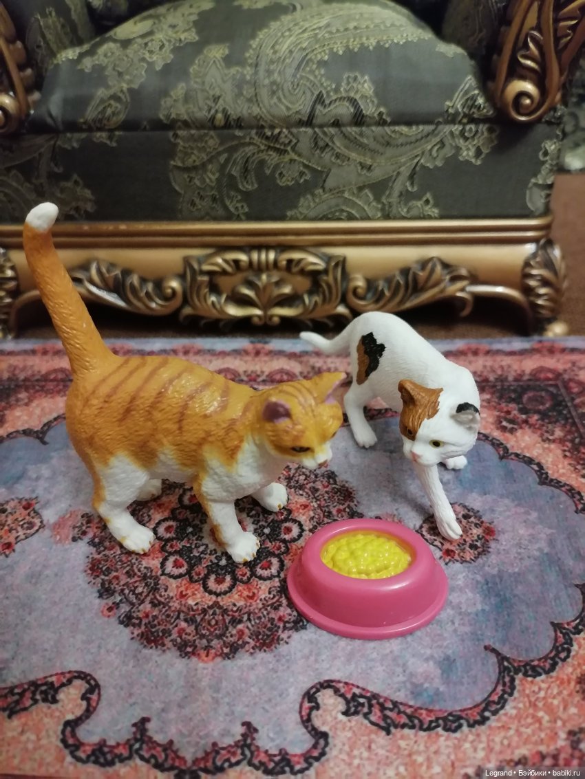 Лурения: Amore и другие кошачьи🤗 | Бэйбики Лурения: Amore и другие кошачьи🤗