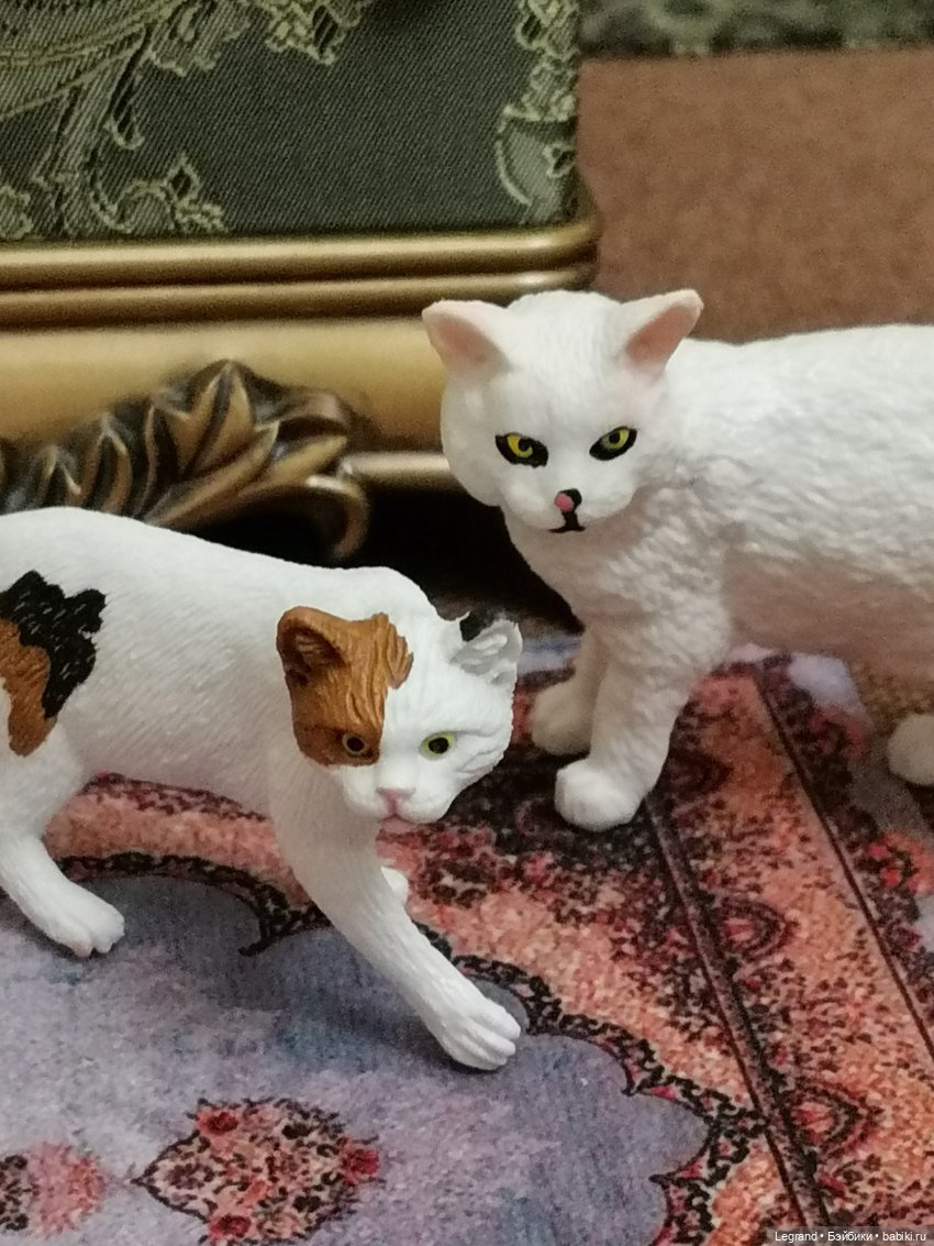 Лурения: Amore и другие кошачьи🤗 | Бэйбики Лурения: Amore и другие кошачьи🤗