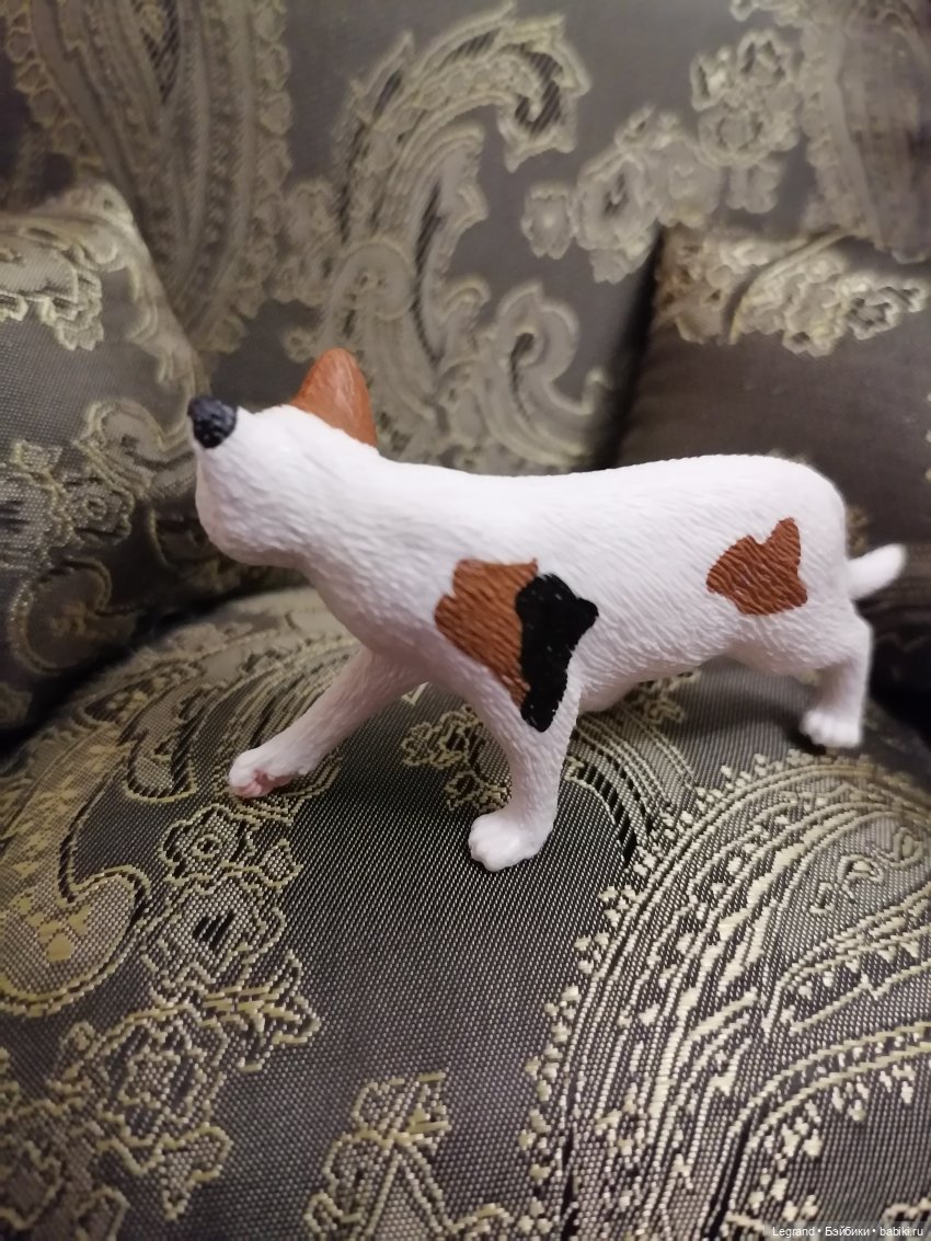 Лурения: Amore и другие кошачьи🤗 | Бэйбики Лурения: Amore и другие кошачьи🤗 (фото 6)