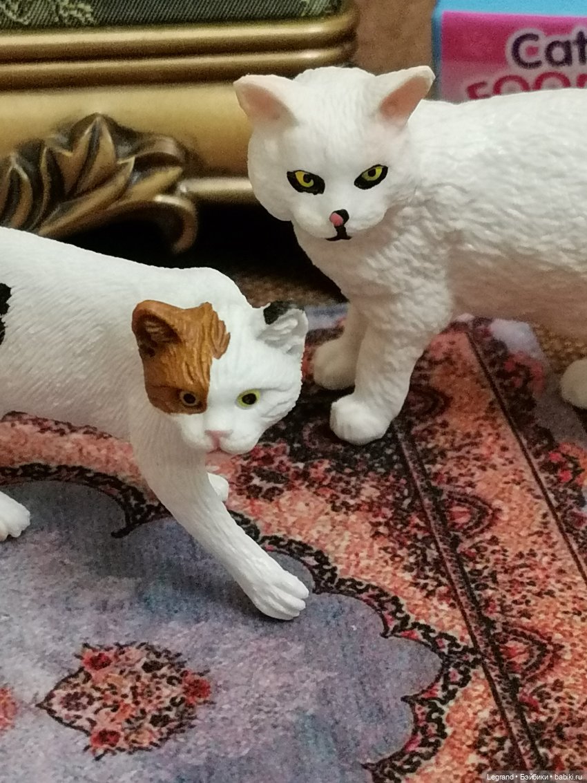 Лурения: Amore и другие кошачьи🤗 | Бэйбики Лурения: Amore и другие кошачьи🤗