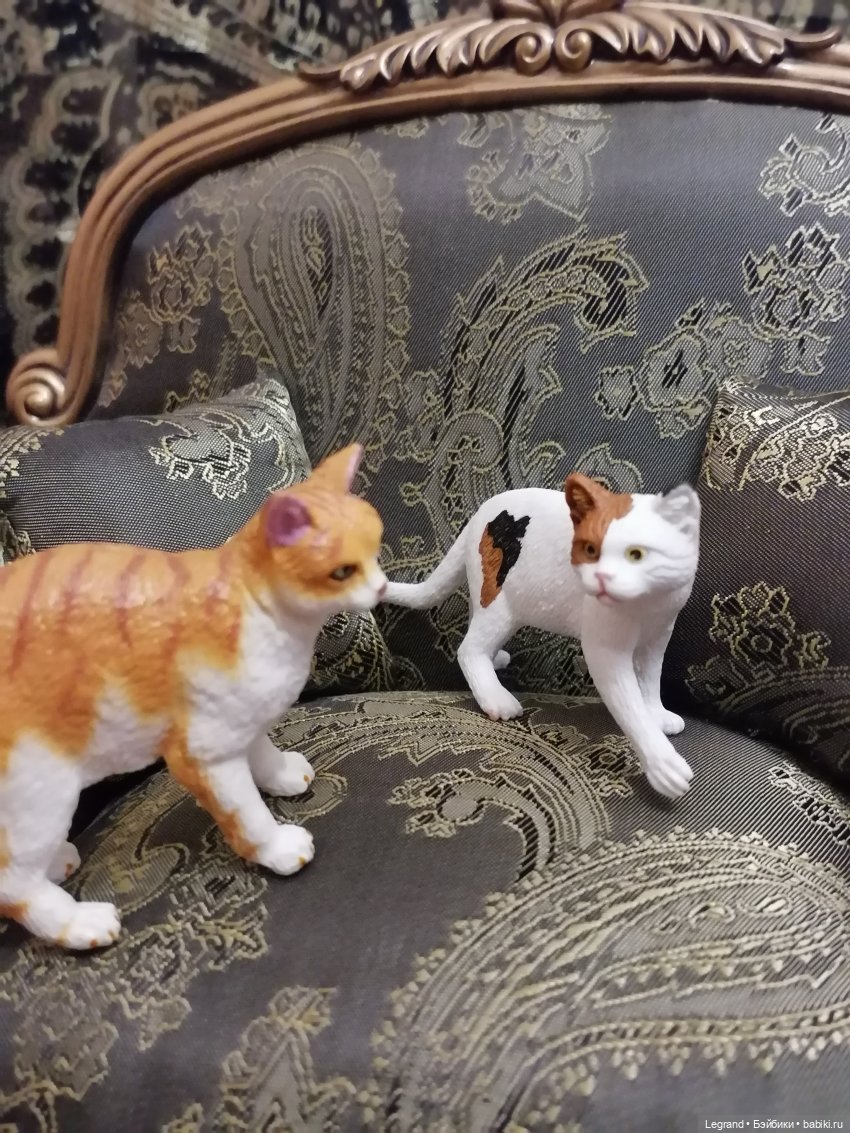 Лурения: Amore и другие кошачьи🤗 | Бэйбики Лурения: Amore и другие кошачьи🤗