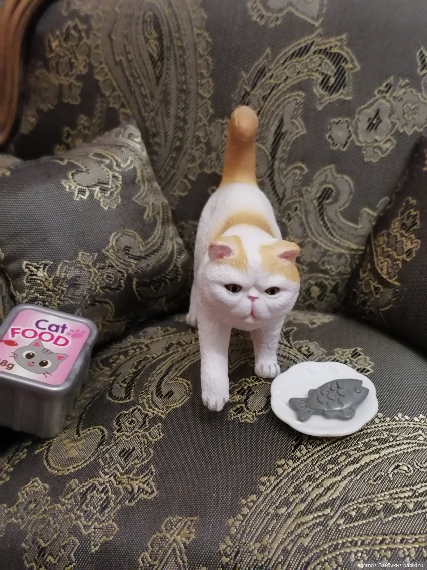 Лурения: Amore и другие кошачьи🤗 | Бэйбики Лурения: Amore и другие кошачьи🤗