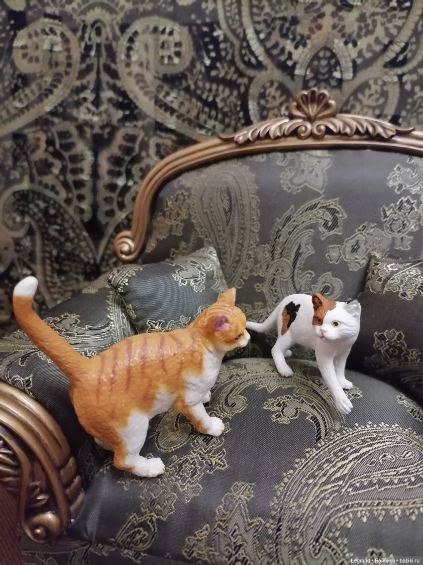 Лурения: Amore и другие кошачьи🤗 | Бэйбики Лурения: Amore и другие кошачьи🤗