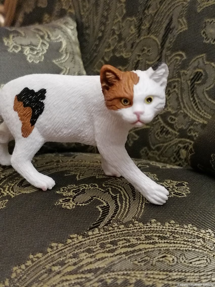 Лурения: Amore и другие кошачьи🤗 | Бэйбики Лурения: Amore и другие кошачьи🤗 (фото 5)