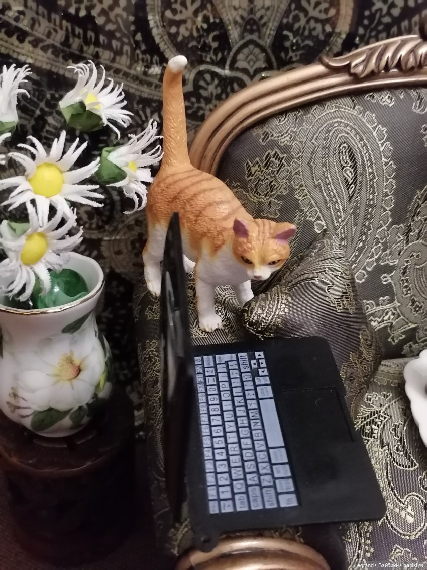 Лурения: Джемаль и Атыф - разговор по душам (фото 8)