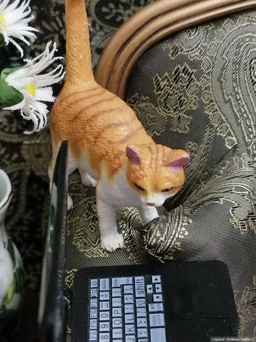 Лурения: Джемаль и Атыф - разговор по душам (фото 9)