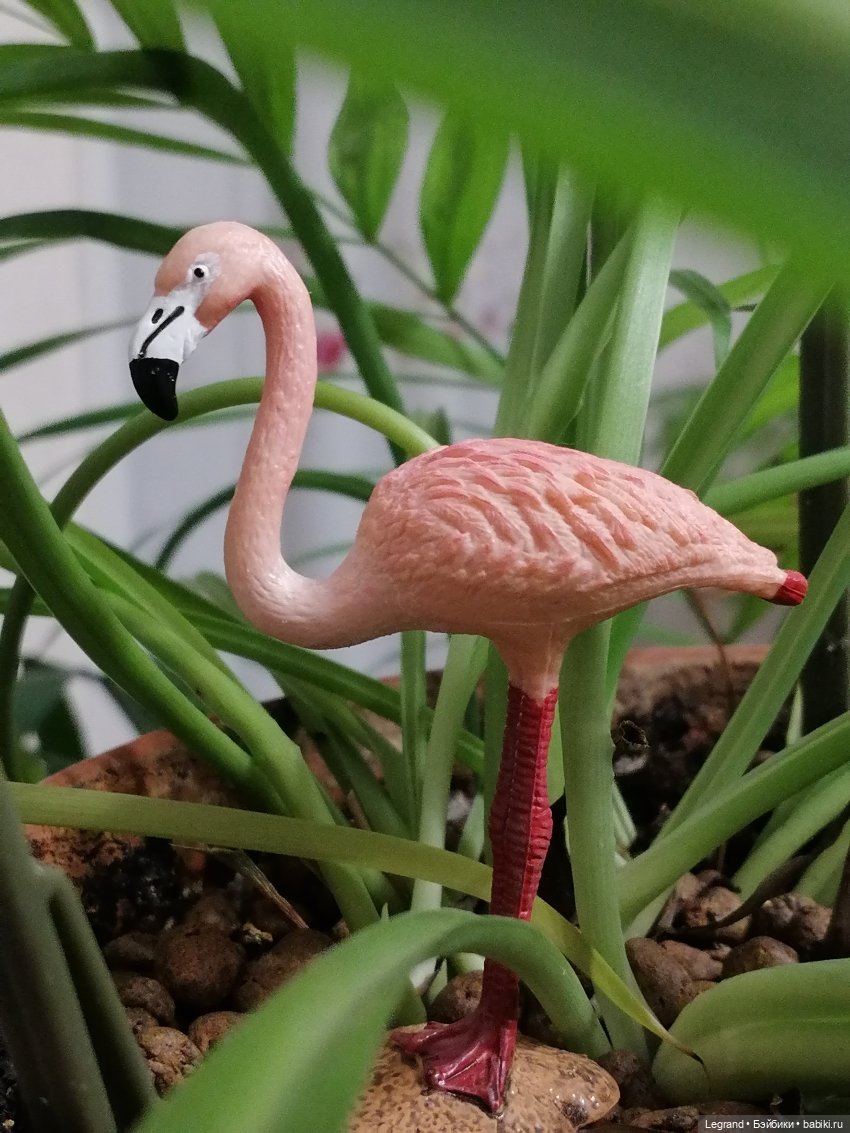 Лурения: Верхний сад - фламинго (фото 8)