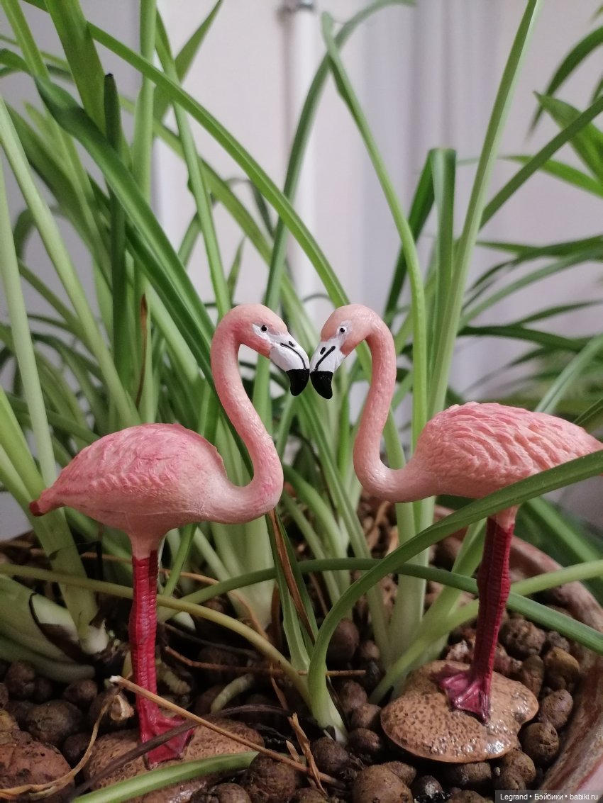 Лурения: Верхний сад - фламинго (фото 6)