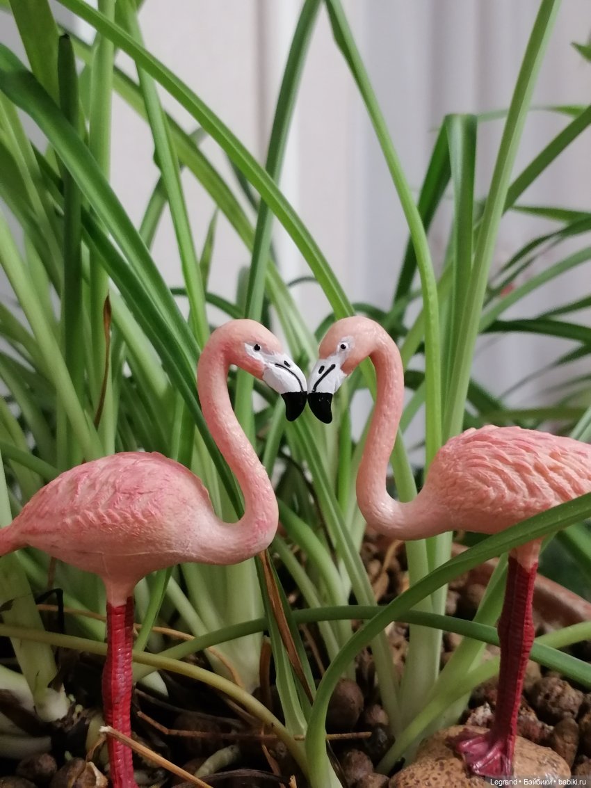 Лурения: Верхний сад - фламинго (фото 7)