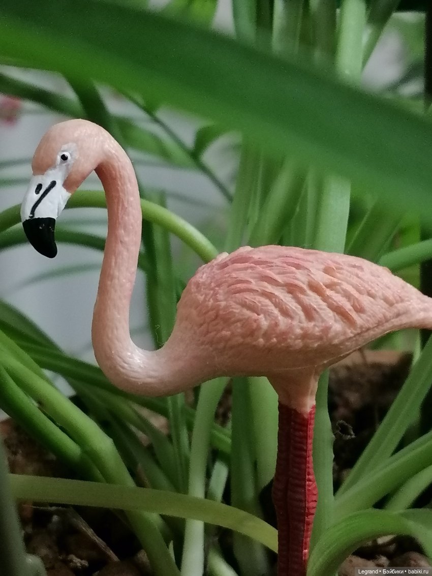 Лурения: Верхний сад - фламинго (фото 9)