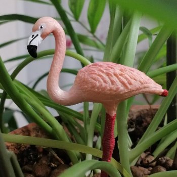 Лурения: Верхний сад - фламинго