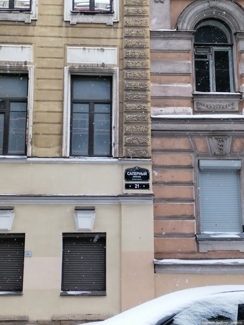 Зимний Санкт-Петербург: медвежонок Барыш на прогулке