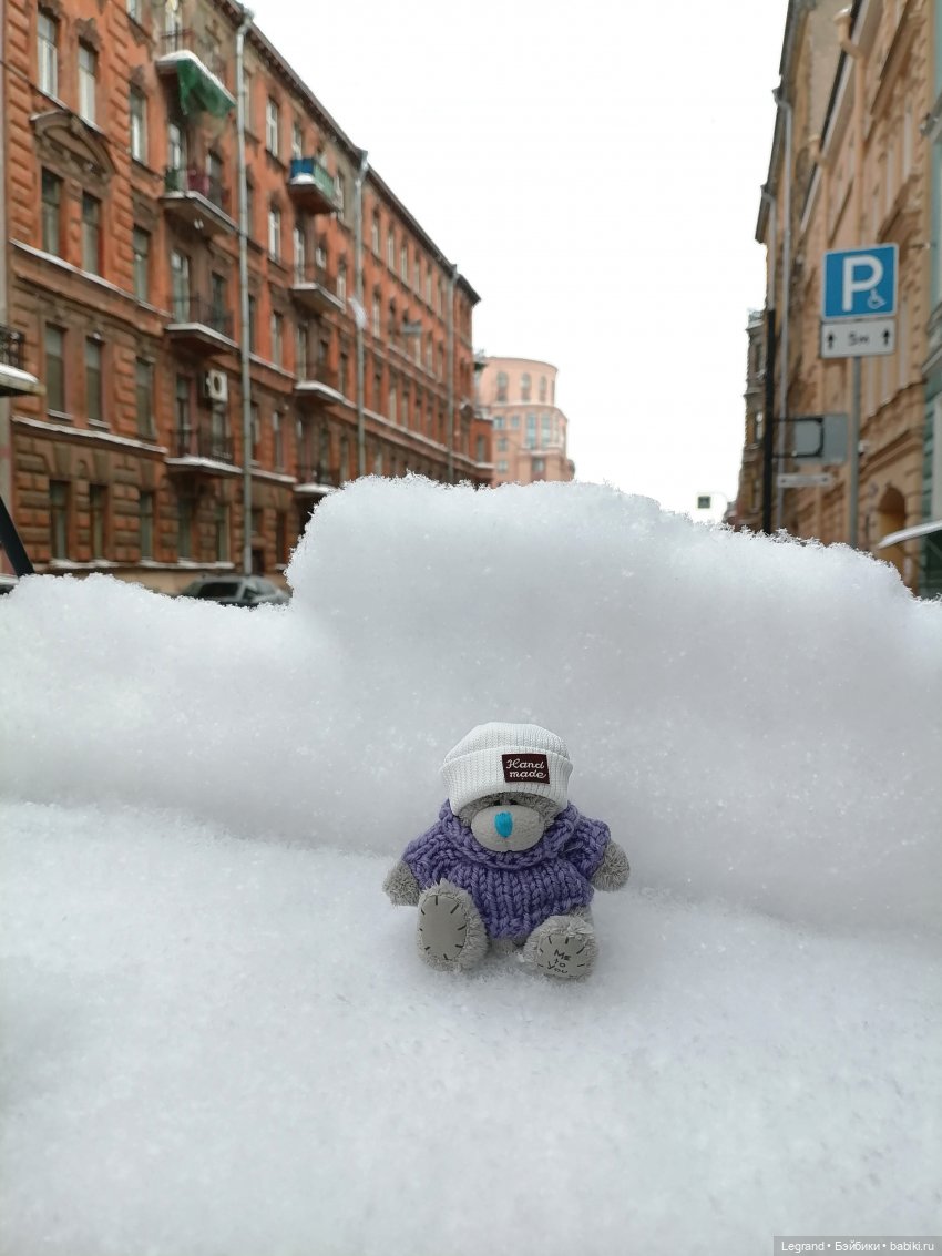 Зимний Санкт-Петербург: медвежонок Барыш на прогулке (фото 2)