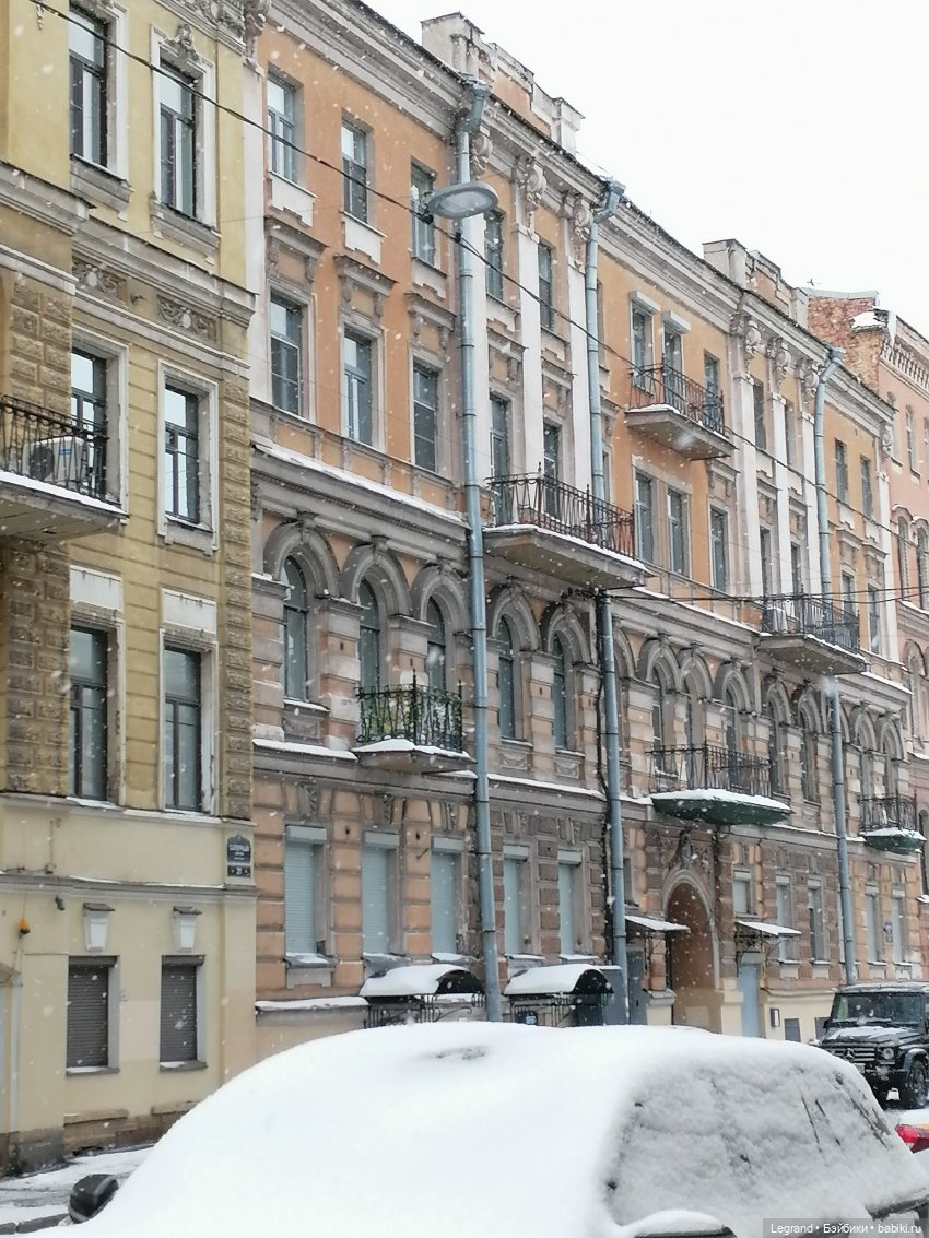 Зимний Санкт-Петербург: медвежонок Барыш на прогулке