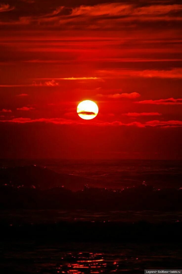 Нездешний цветок. Стихи Жак-Анжа | Бэйбики Нездешний цветок. Стихи Жак-Анжа (фото 5)