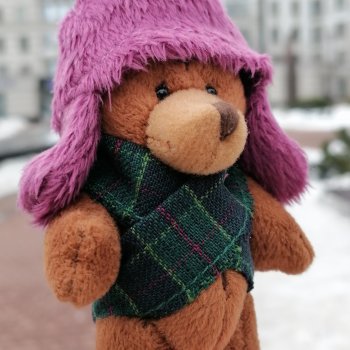 Из жизни моих мишек: Стефан на прогулке