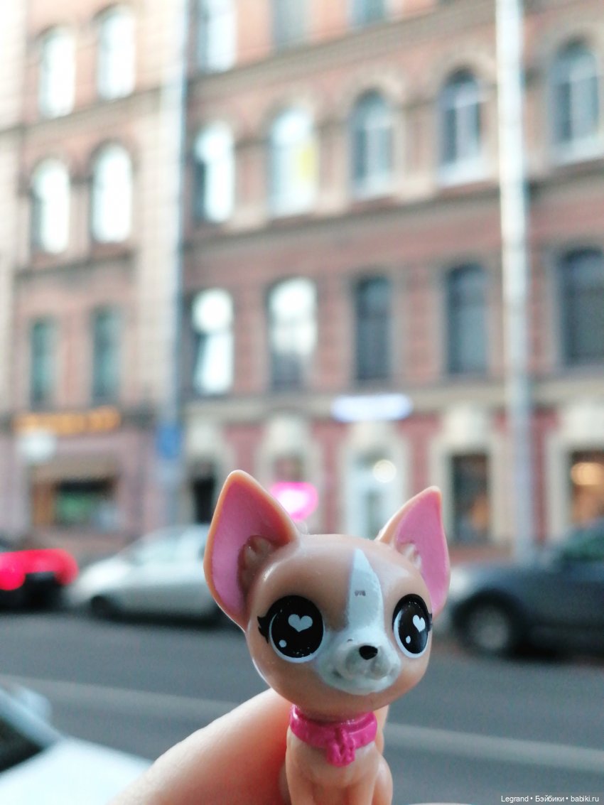 Санкт-Петербург: прогулка с Ванилькой | Бэйбики Санкт-Петербург: прогулка с Ванилькой (фото 6)