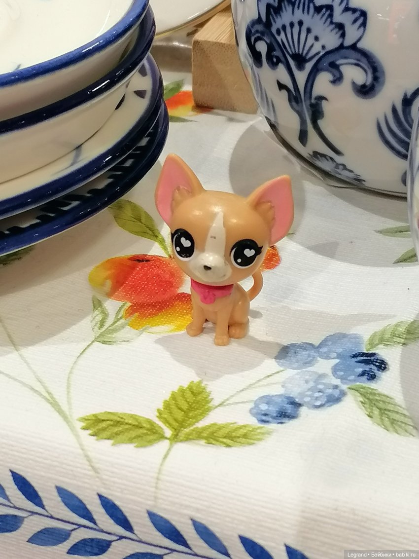 Санкт-Петербург: прогулка с Ванилькой | Бэйбики Санкт-Петербург: прогулка с Ванилькой