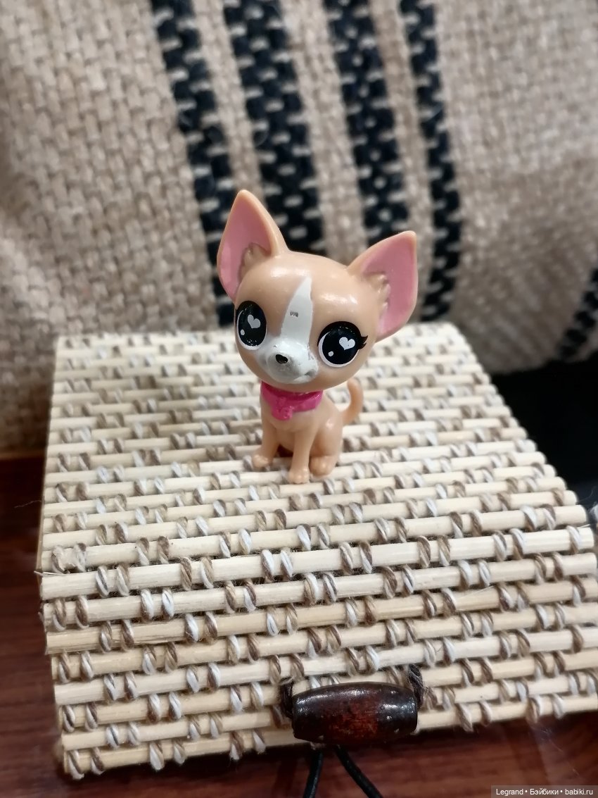 Санкт-Петербург: прогулка с Ванилькой | Бэйбики Санкт-Петербург: прогулка с Ванилькой