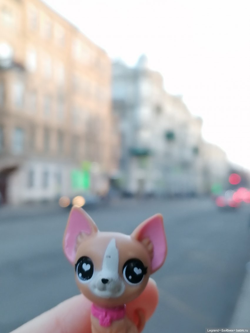 Санкт-Петербург: прогулка с Ванилькой | Бэйбики Санкт-Петербург: прогулка с Ванилькой