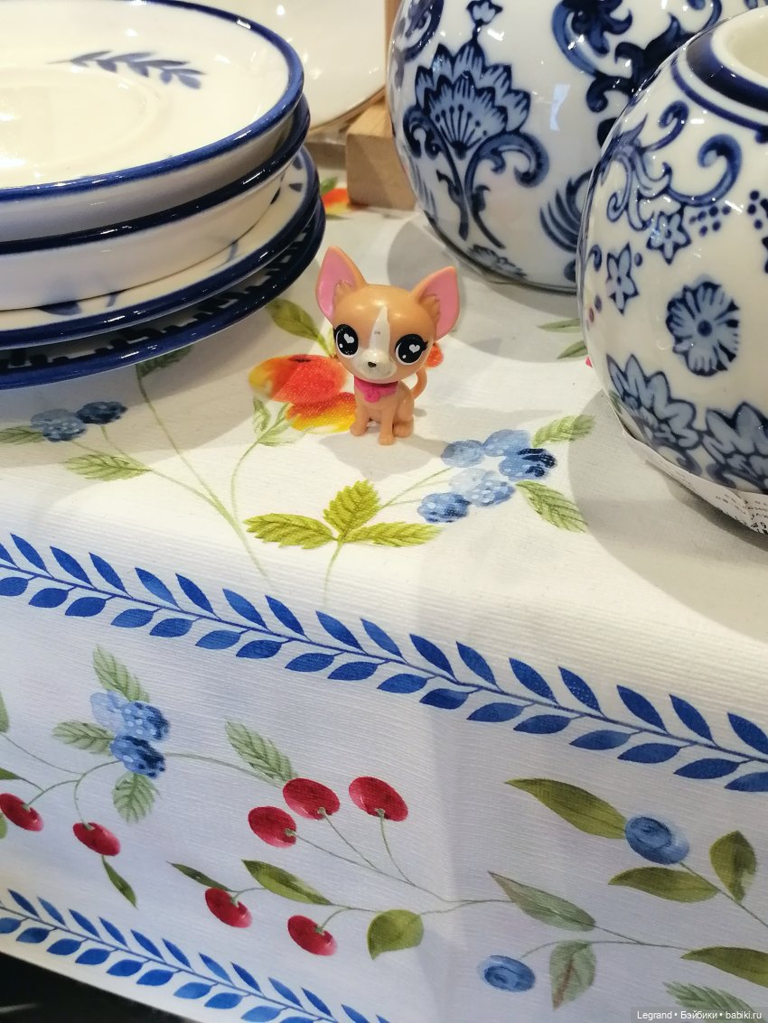 Санкт-Петербург: прогулка с Ванилькой | Бэйбики Санкт-Петербург: прогулка с Ванилькой