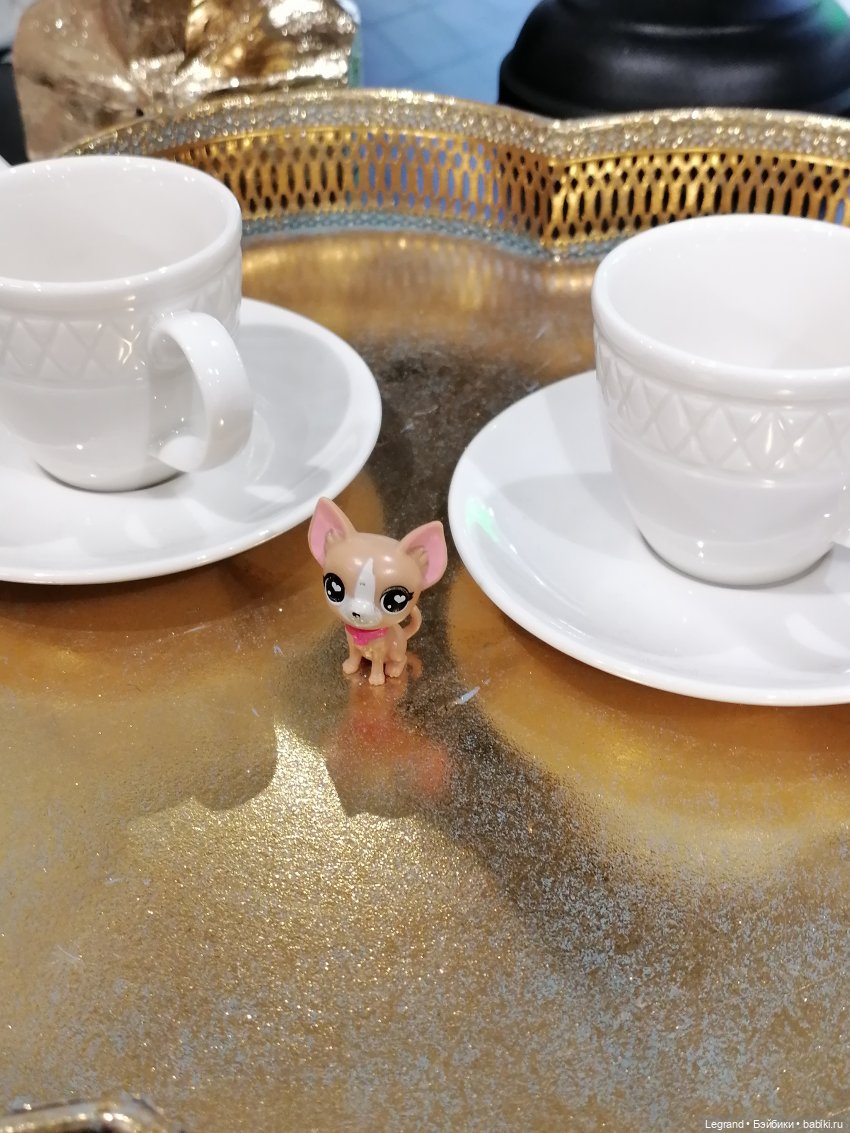 Санкт-Петербург: прогулка с Ванилькой | Бэйбики Санкт-Петербург: прогулка с Ванилькой