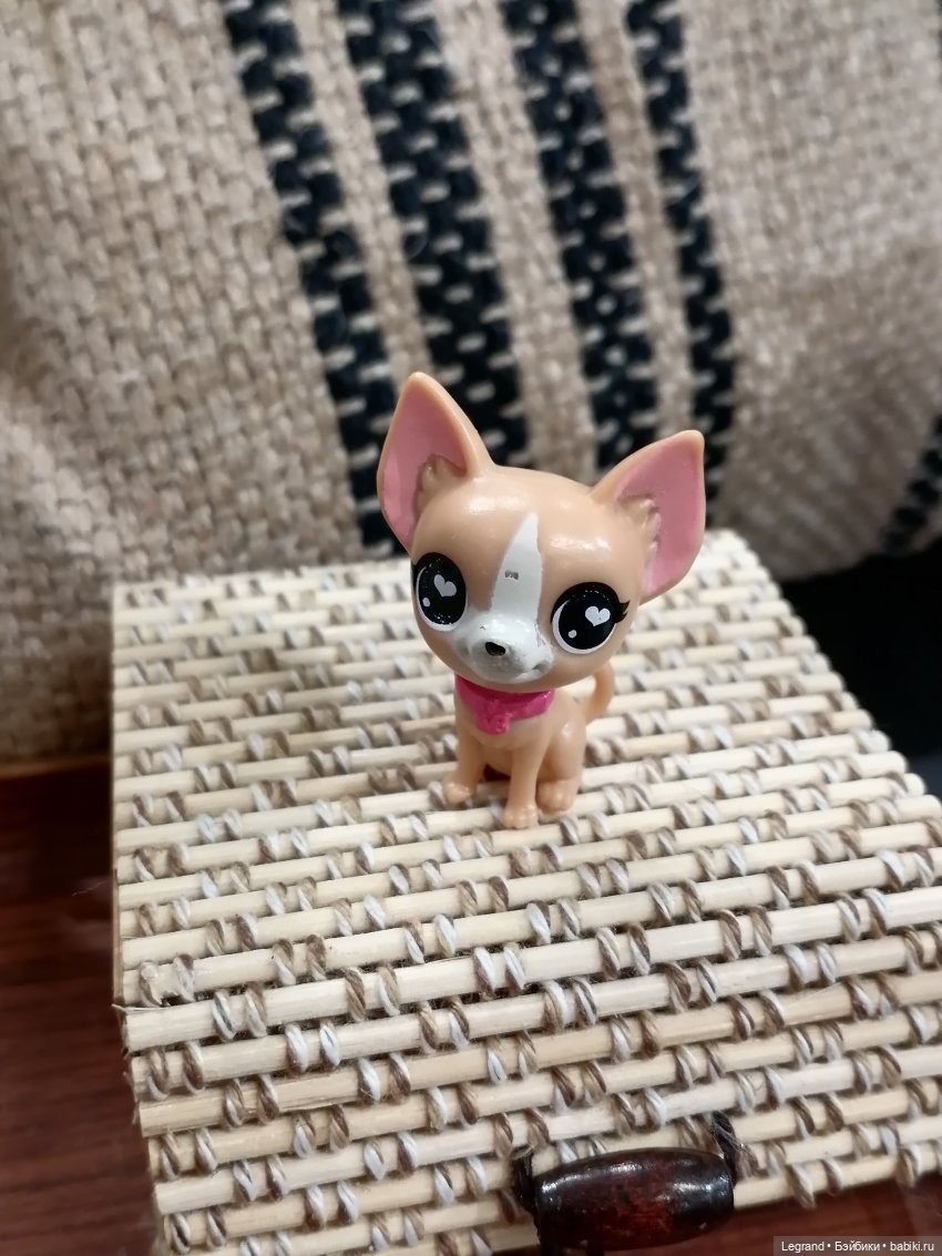 Санкт-Петербург: прогулка с Ванилькой | Бэйбики Санкт-Петербург: прогулка с Ванилькой