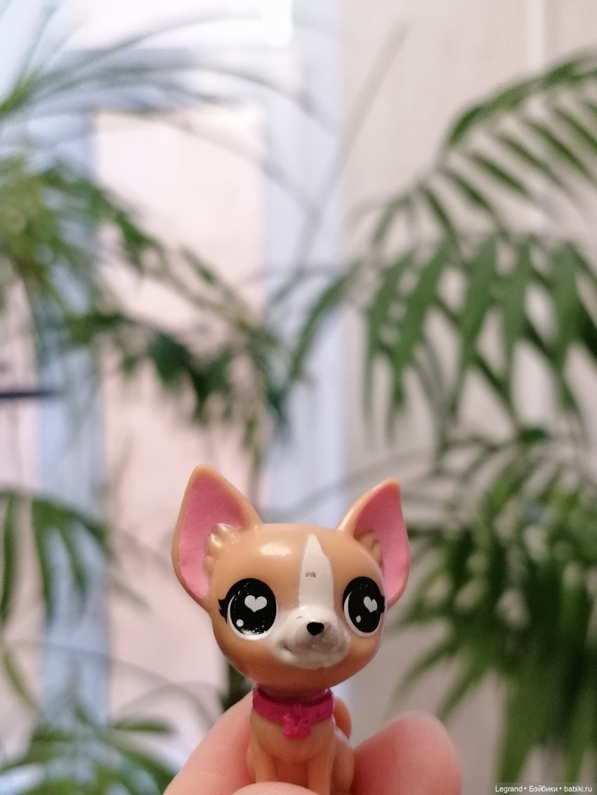 Санкт-Петербург: прогулка с Ванилькой | Бэйбики Санкт-Петербург: прогулка с Ванилькой (фото 2)